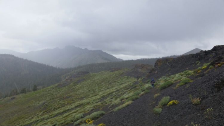 Carson Pass – Wayfarer